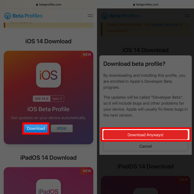 Cập nhật iOS 14.5 Beta 3 bước 1